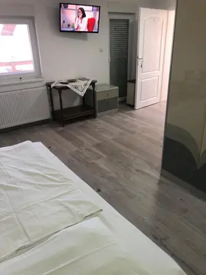 a bedroom with a bed and a tv on the wall at Vila Zdravković Prolom Banja in Prolomska Banja