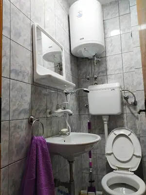a bathroom with a toilet and a sink and a mirror at Apartman Todorovic in Jagodina