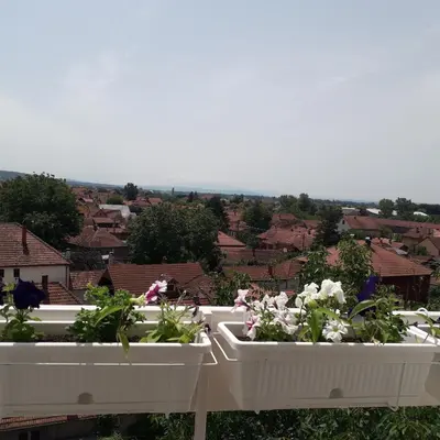 two white containers filled with flowers on a balcony at Kutak- stan na dan in Paraćin