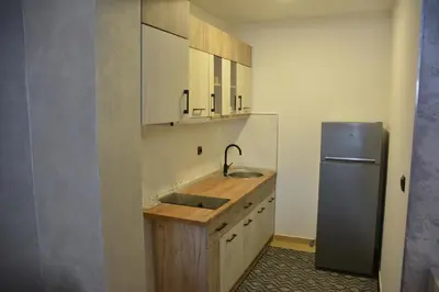 a kitchen with a sink and a refrigerator at MONA RELAX in Vrnjačka Banja