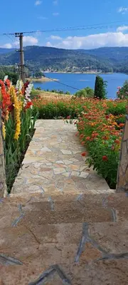 a stone walkway with flowers and a body of water at Vila Vera Borsko Jezero in Bor