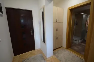 a bathroom with a brown door and a shower at Apartman NINA in Vrnjačka Banja