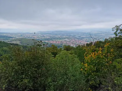 a view of a city from a hill with trees at Apartman N&P in Soko Banja