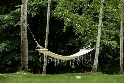 a hammock hanging from two trees in a park at Miletic Villas in Despotovac