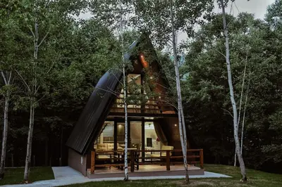 a small house in the woods with a slide at Miletic Villas in Despotovac