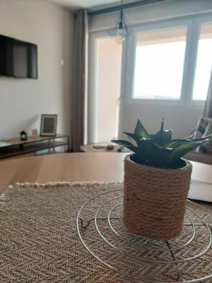 Gallery image of M Apartments in Soko Banja