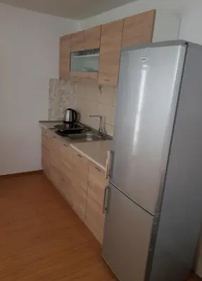 a kitchen with a stainless steel refrigerator and a sink at Apartmani Strahinic in Leskovac