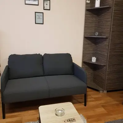 a living room with a couch and a table at Apartman Jovanovic in Vrnjačka Banja
