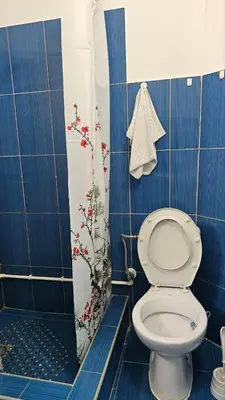 a blue tiled bathroom with a toilet and a shower at Kuća Veneto & Free Parking in Soko Banja