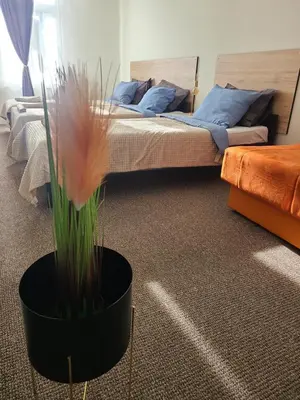 a bedroom with a bed and a potted plant at Stari Zaječar apartments in Zaječar