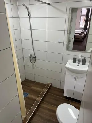 a bathroom with a shower and a toilet and a sink at Stari Zaječar apartments in Zaječar