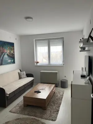 a living room with a couch and a coffee table at The View Apartment in Soko Banja