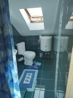a bathroom with a toilet and a skylight at Apartmani Mile in Soko Banja