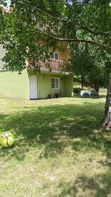 a house with a tree in front of a yard at Vikendica Kop in Kopaonik