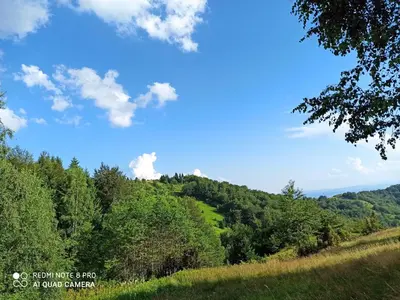 a view of a hill with trees and a blue sky at Vikendica Kop in Kopaonik