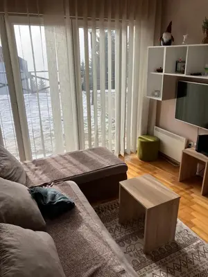 a living room with a couch and a television at Zoara apartment in Kopaonik