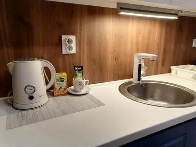 a kitchen counter with a coffee maker next to a sink at Kingston in Pirot