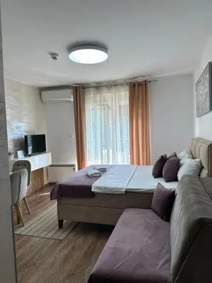 a bedroom with a large bed and a couch at Studio Bogdanovic in Vrnjačka Banja