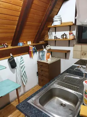 Gallery image of Vila Teodor in Kopaonik