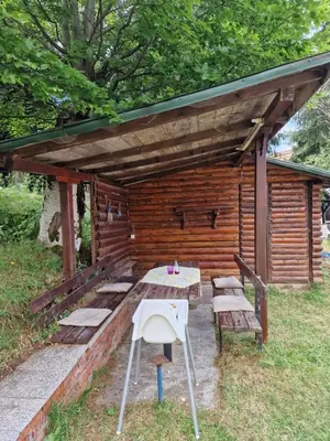 Gallery image of Vila Teodor in Kopaonik
