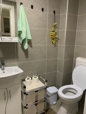 a bathroom with a white toilet and a sink at Apartman Sveta in Vrnjačka Banja