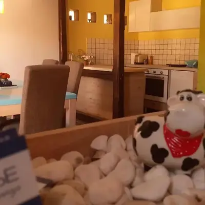 Village house Moo Moo