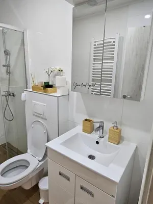 a white bathroom with a toilet and a sink at Apartman Emma Vrnjačka Banja in Vrnjačka Banja