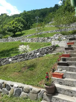 a set of stone steps with flowers and plants at Vikendica Darija in Kraljevo
