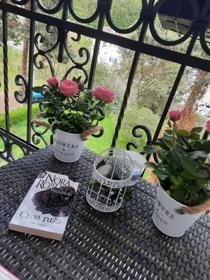 a table with two potted plants and a book at Apartman Korićanac Vrnjačka Banja in Vrnjačka Banja