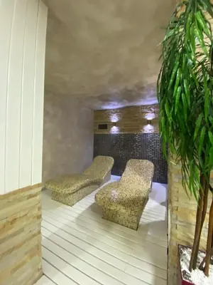 a room with two chairs and a plant at Zoned MASLAČAK lux - SPA & Wellness Kopaonik in Kopaonik