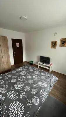 a bedroom with a black and white comforter on a bed at villa Antonijevic in Brestovac