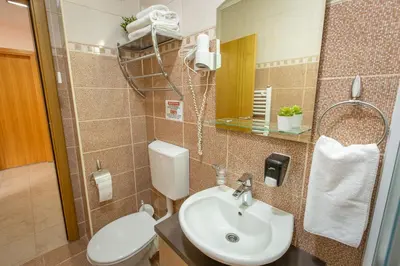 a bathroom with a sink and a toilet and a mirror at Zen apartman in Kopaonik