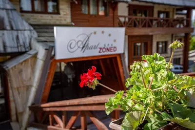 a red flower in a pot next to a building at Zen apartman in Kopaonik