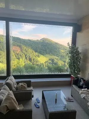 a dog laying on a couch in a living room with a large window at Zen apartman in Kopaonik