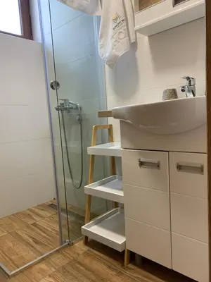 a bathroom with a sink and a shower at Mr Alek - Luxury Apartment Kopaonik in Kopaonik
