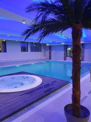a palm tree sitting next to a swimming pool at Mr Alek - Luxury Apartment Kopaonik in Kopaonik