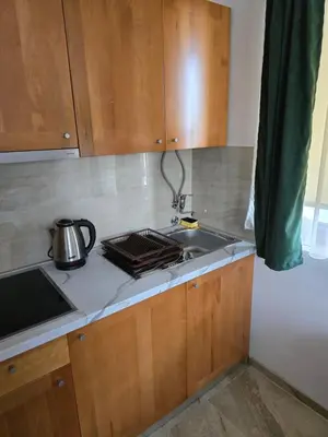 a kitchen counter with a sink and a tea kettle at Studios Šumska Kuća 2 & 3 in Kopaonik