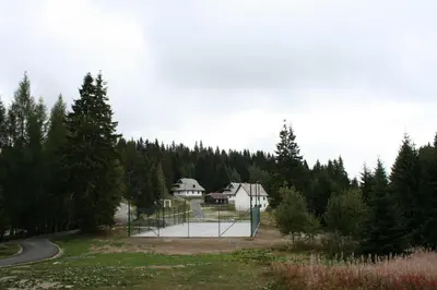 a basketball hoop in a park with trees at Studios Šumska Kuća 2 & 3 in Kopaonik