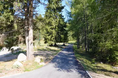 a road with trees on both sides at Studios Šumska Kuća 1 in Kopaonik