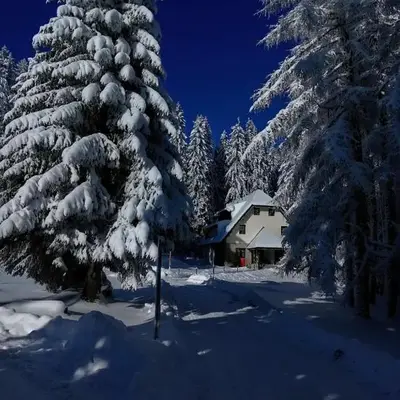 Studios Šumska Kuća 1