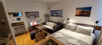 a small apartment with a bed and a living room at Brzeće Center Studio Mitrovski Gondola 300m in Kopaonik
