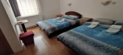 a bedroom with two beds and a window at Vila Ivanović in Kopaonik