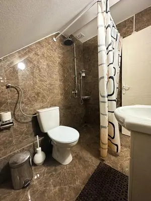 a bathroom with a toilet and a shower and a sink at Mikasa in Niš