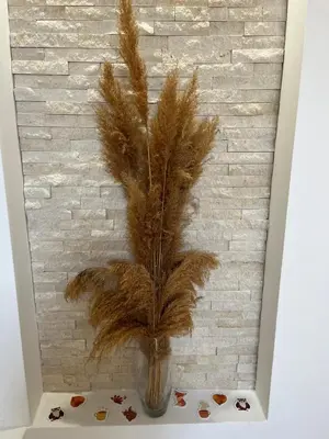 a vase with a plant in a wall at Apartmani Tesla in Soko Banja