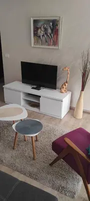 a living room with a tv on a white entertainment center at Apartmani MIBOR in Vrnjačka Banja