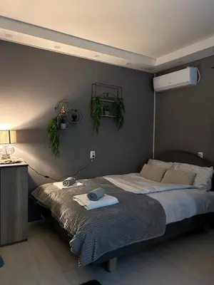 a bedroom with a bed with two plants on the wall at Beta House Apartments in Zaječar