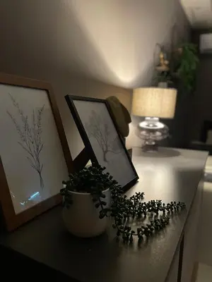 a table with a potted plant and pictures on it at Beta House Apartments in Zaječar