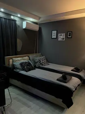 a bedroom with a large bed in a room at Beta House Apartments in Zaječar
