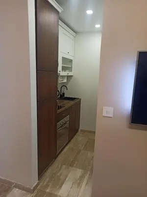 a small kitchen with a sink and a refrigerator at Kopaonik Jaram ski lift slope Karaman in Kopaonik