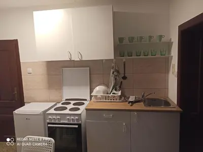 a kitchen with a stove and a sink at Apartmani Lina in Ribarska Banja